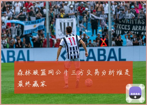 森林狼篮网公牛三方交易分析谁是最终赢家