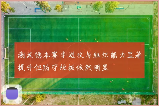 谢泼德本赛季进攻与组织能力显著提升但防守短板依然明显