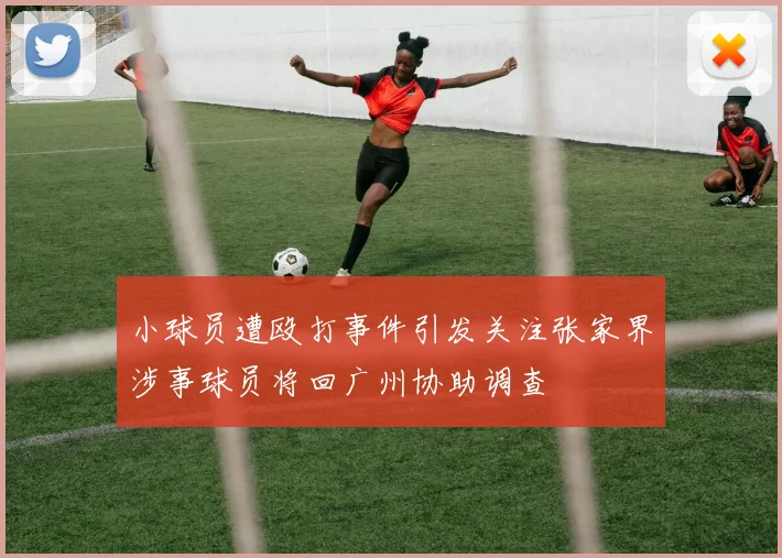 小球员遭殴打事件引发关注张家界涉事球员将回广州协助调查